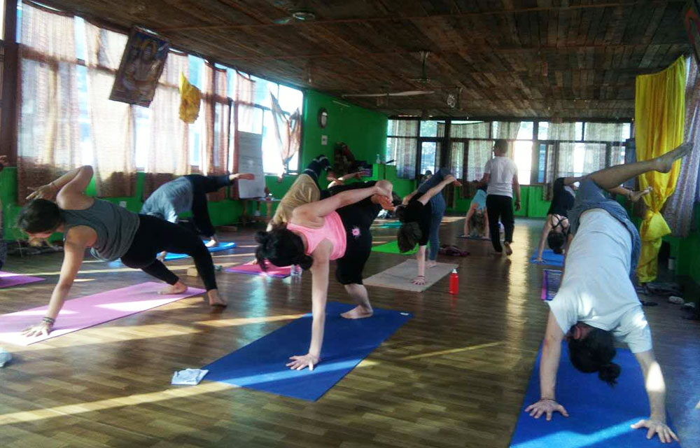 100 Hour Yoga Teacher Training In Rishikesh | Yoga TTC In Rishikesh India